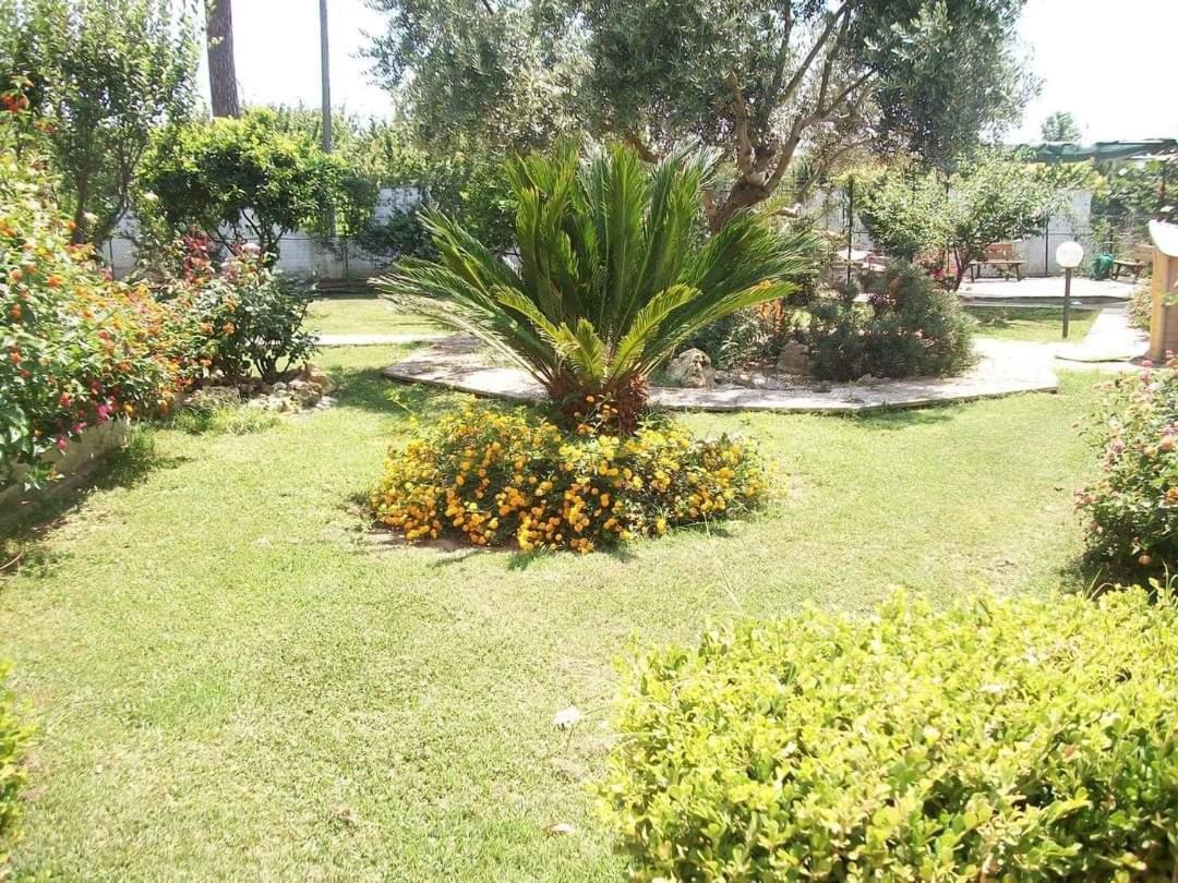 Il Giardino Degli Ulivi Apartment Giugliano In Campania Exterior photo