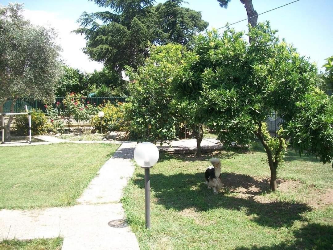 Il Giardino Degli Ulivi Apartment Giugliano In Campania Exterior photo