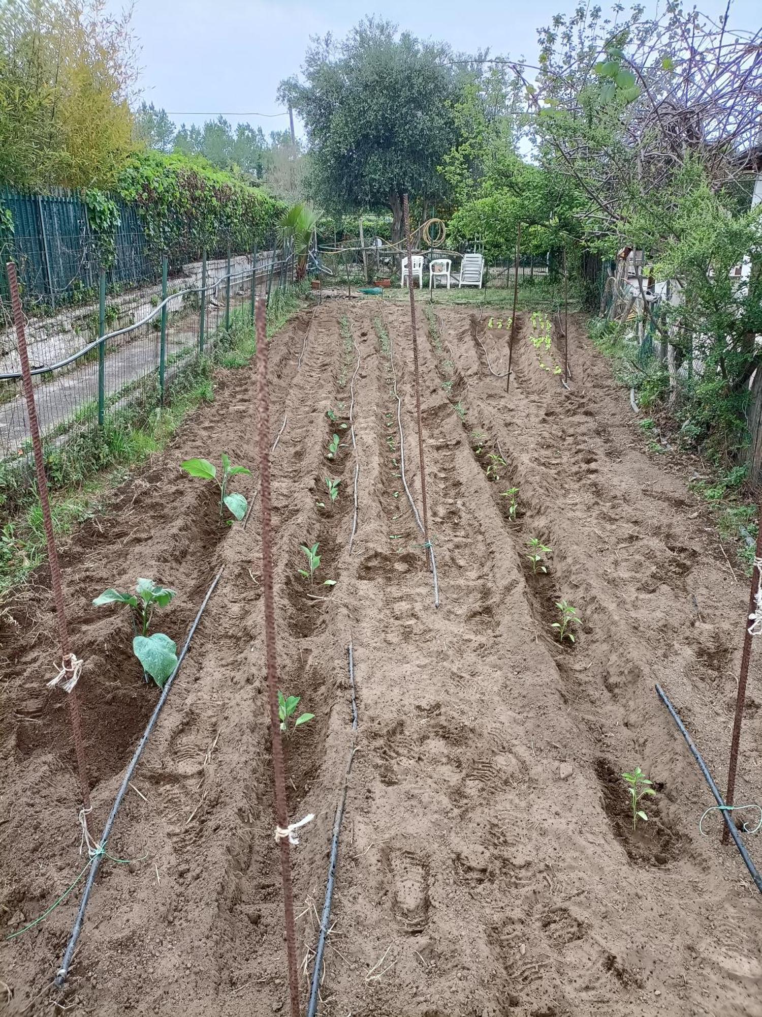 Il Giardino Degli Ulivi Apartment Giugliano In Campania Exterior photo