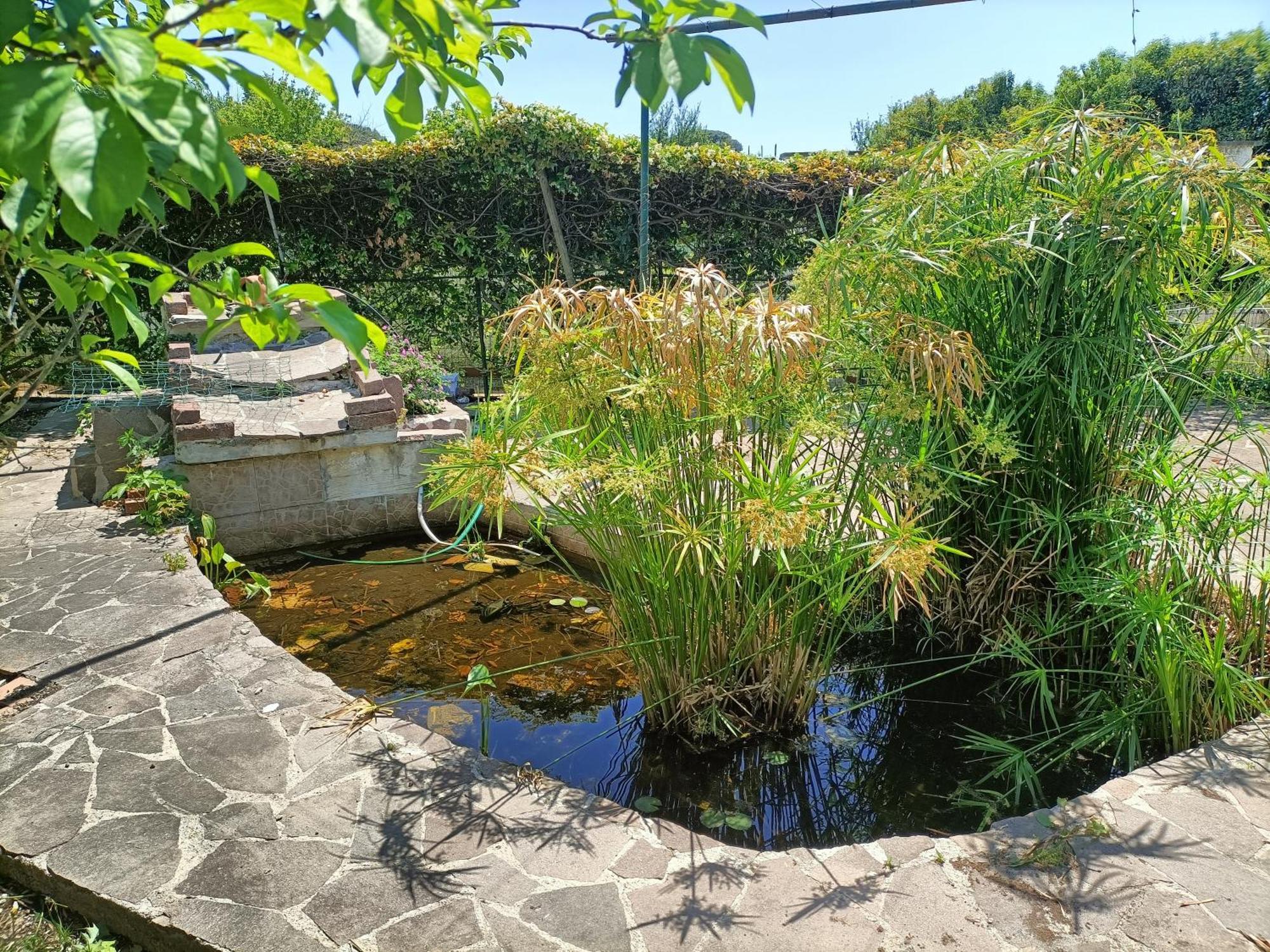 Il Giardino Degli Ulivi Apartment Giugliano In Campania Exterior photo